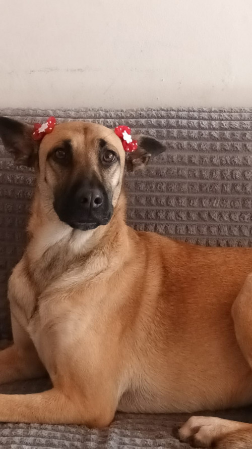 Wanda