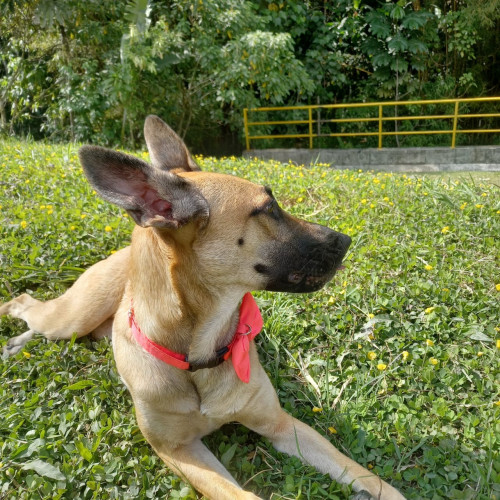 Wanda