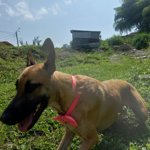 Wanda