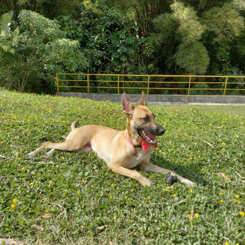Wanda