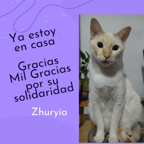 Zhuryia