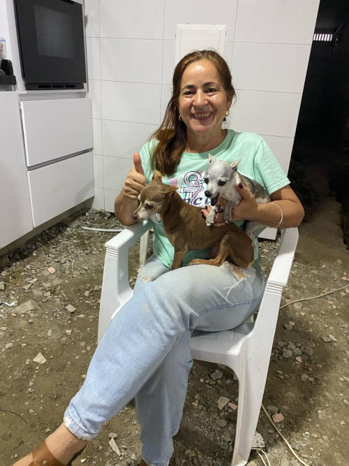 Pinina