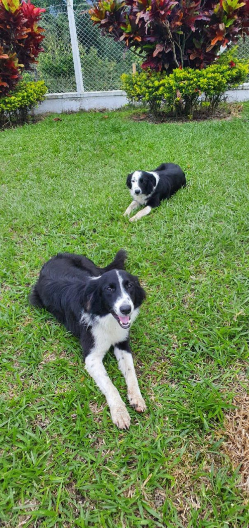 Hugo Y Fran