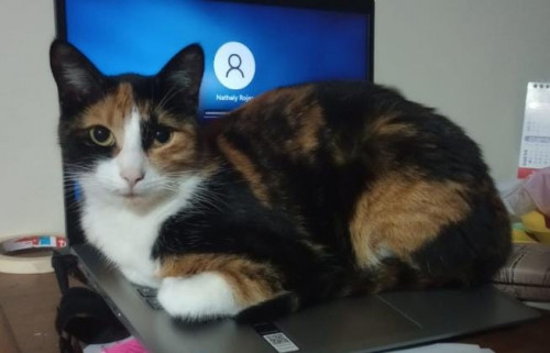 Atenea