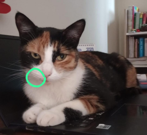 Atenea