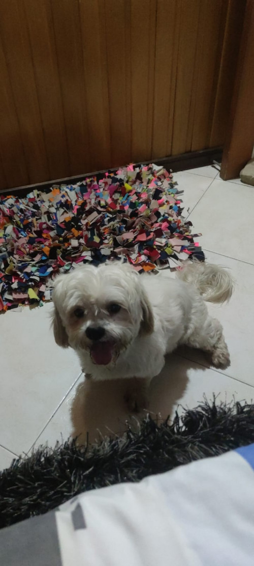 Homero