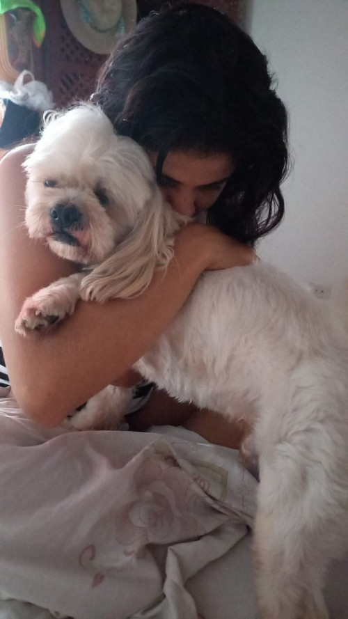 Homero