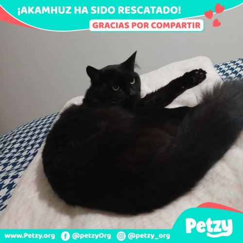 Foto del reencuentro de Akamhuz