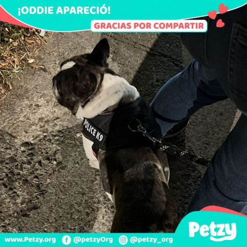 Foto del reencuentro de Oddie