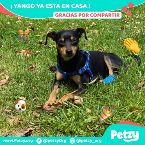 Foto del reencuentro de Yango