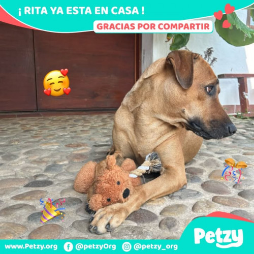 Foto del reencuentro de Rita