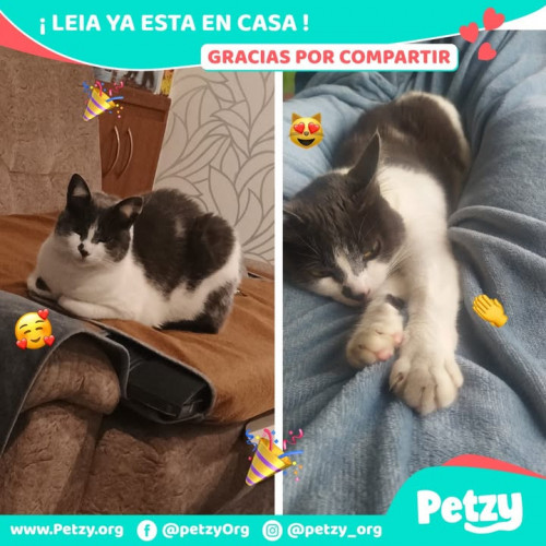Foto del reencuentro de Leia