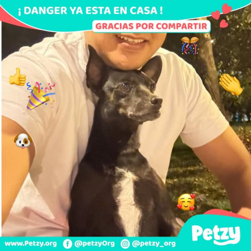 Foto de mascota Danger