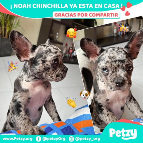 Foto del reencuentro de Noah Chinchilla