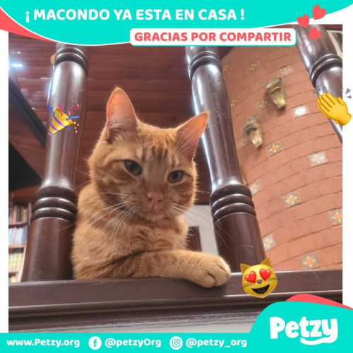 Foto de mascota Macondo