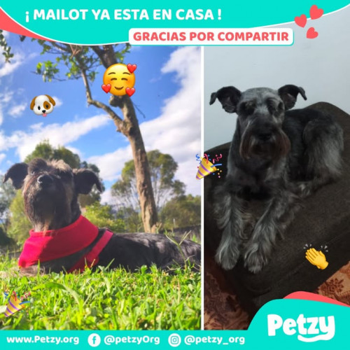 Foto del reencuentro de Mailot