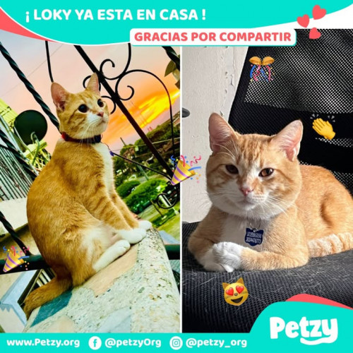 Foto del reencuentro de Loky