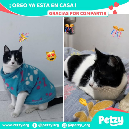 Foto del reencuentro de Oreo