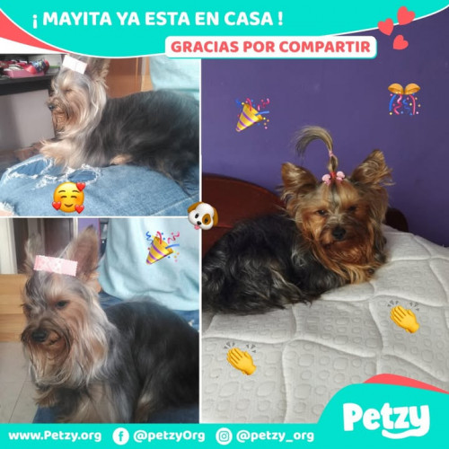 Foto del reencuentro de Mayita
