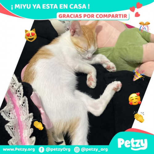 Foto del reencuentro de Miyu