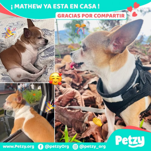 Foto del reencuentro de Mathew