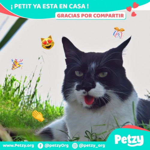 Foto del reencuentro de Petit