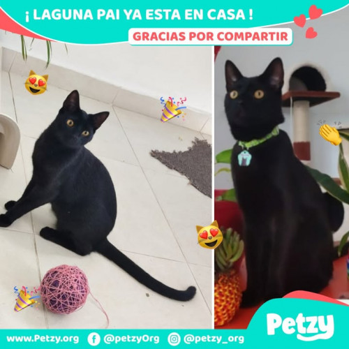 Foto del reencuentro de Laguna Pai