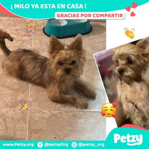 Foto del reencuentro de Milo