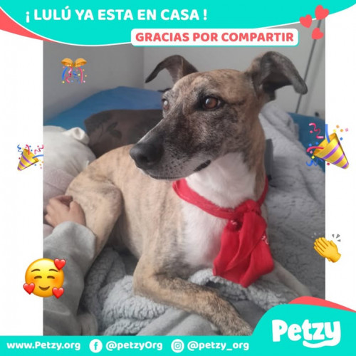 Foto del reencuentro de Lulú