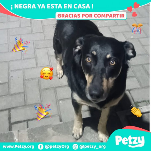 Foto del reencuentro de Negra