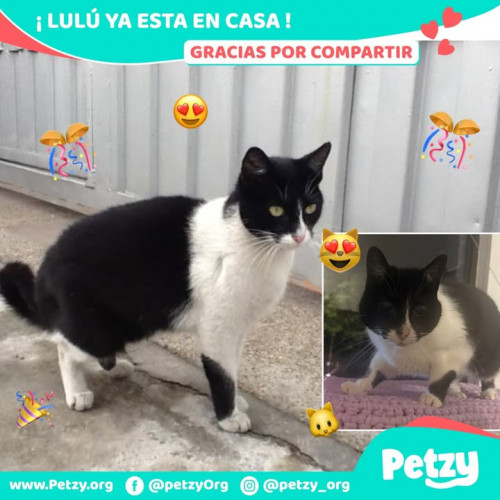 Foto del reencuentro de Lulú