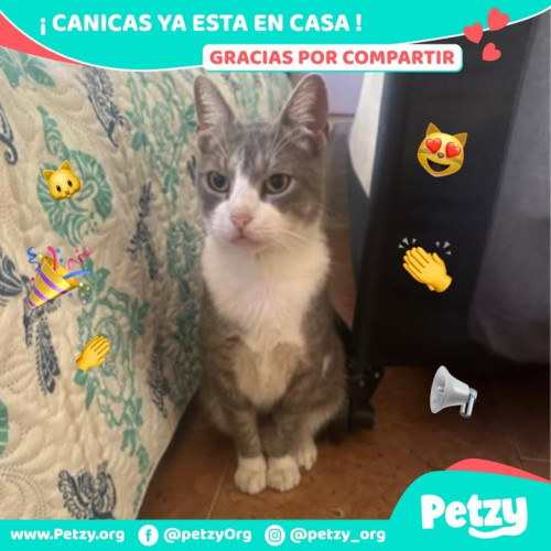 Foto de mascota Canicas