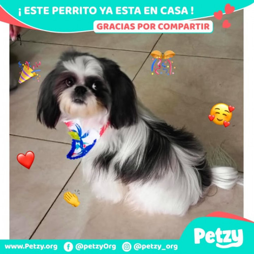 Foto del reencuentro de Este Perrito