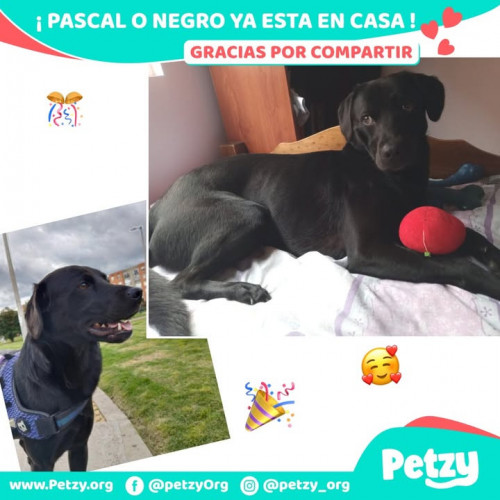 Foto del reencuentro de Pascal O Negro