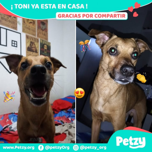 Foto del reencuentro de Toni