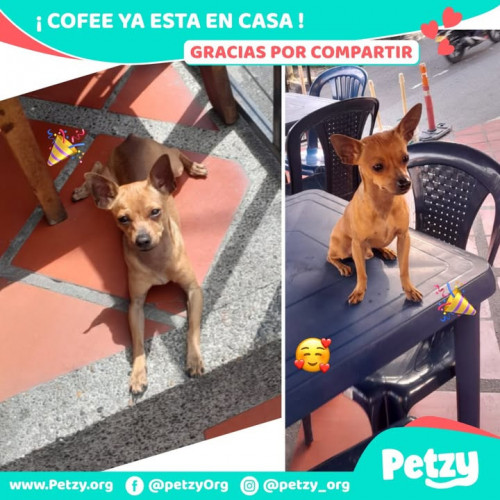 Foto del reencuentro de Cofee