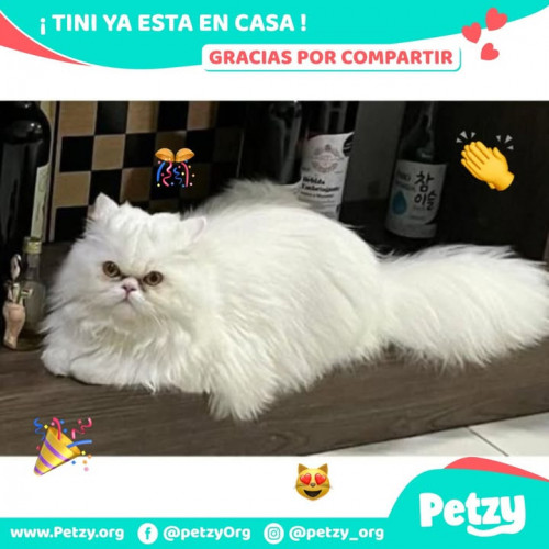 Foto del reencuentro de Tini
