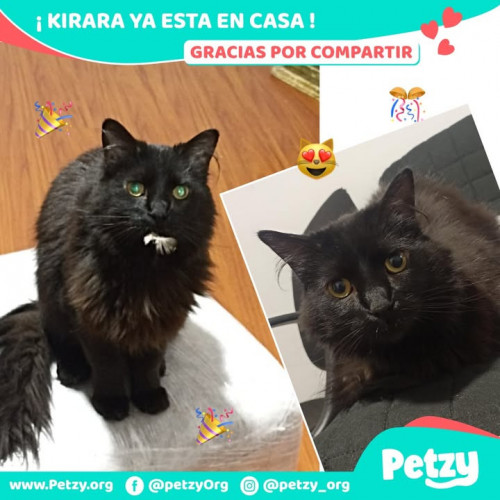 Foto del reencuentro de Kirara