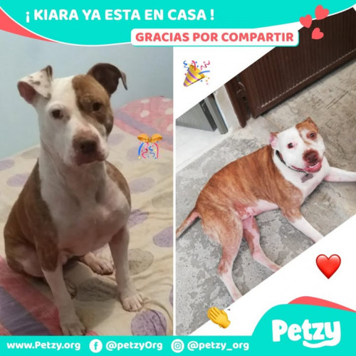 Foto del reencuentro de Kiara