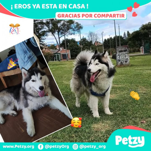 Foto del reencuentro de Eros