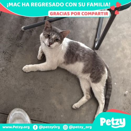 Foto del reencuentro de Mac