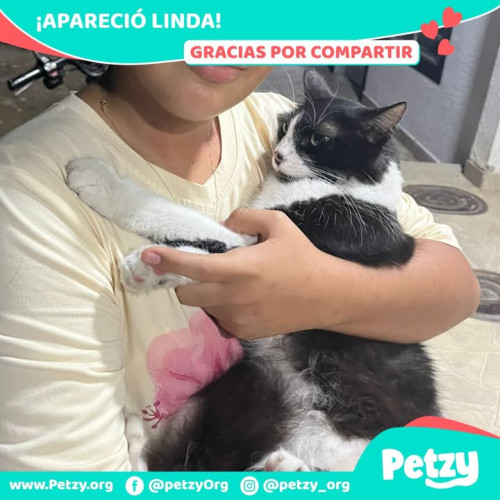 Foto de mascota Linda