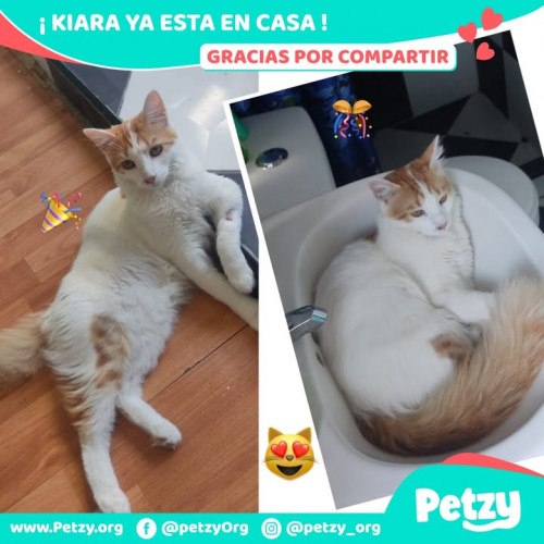 Foto de mascota Kiara