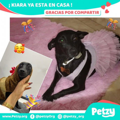 Foto de mascota Kiara
