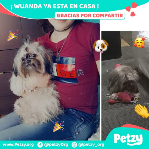 Foto de mascota Wuanda