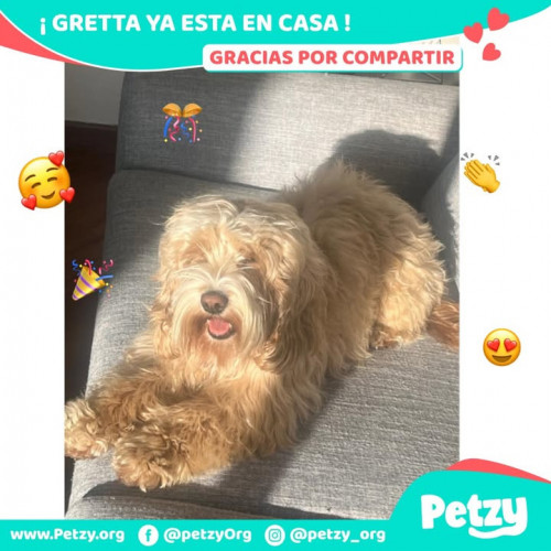 Foto de mascota Gretta