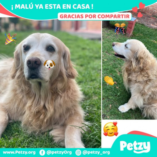 Foto de mascota Malú