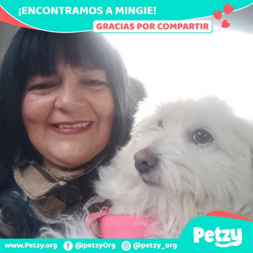 Foto de mascota Mingie