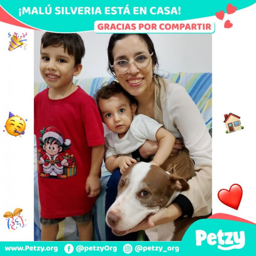 Foto de mascota Malú Silveria