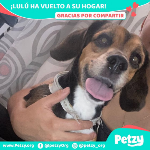 Lulú